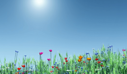 Capture d’écran 2016-03-30 à 10.29.22