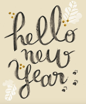 capture-decran-2017-01-11-a-00-28-18